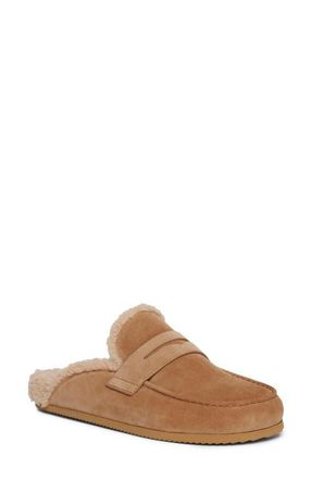 Paige Wynn Genuine Shearling Mule in Camel at Nordstrom, Size 6.5