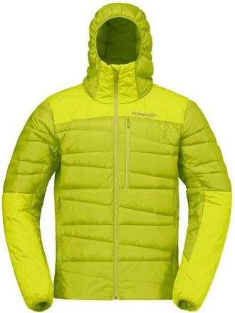 Norr&oslash;na Falketind Down750 Hood Daunenjacke f&uuml;r Herren | gr&uuml;n