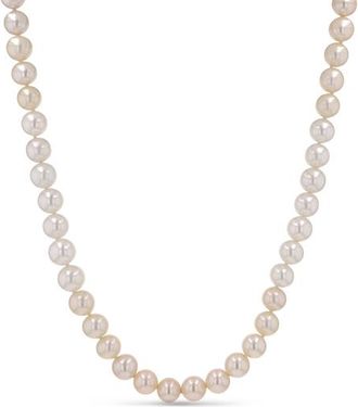 Sheryl Lowe 14K Pink Ombre Pearl Necklace at Nordstrom