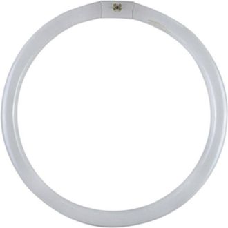 Dura Lamp Circoline fluo trifosfori W40. Prezzo per 1 pezzo