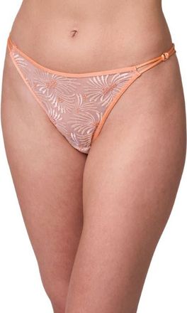 Montelle Intimates Tangerine Dream Embroidered Sheer Mesh Bikini Briefs in Champagne/Tangerine at Nordstrom, Size X-Large