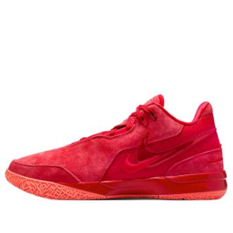 Nike Zoom LeBron NXXT Gen EP James Gang FJ1567-600