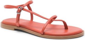Free People Corsica Ankle Strap Sanal in Vermillion at Nordstrom, Size 9.5
