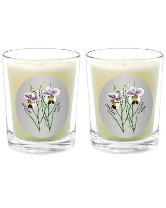 Qualitas Wild Orchid Two Scented Beeswax Candle Set