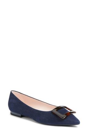 Roger Vivier Gommettine Pointed Toe Ballet Flat in Galassia Scuro at Nordstrom, Size 9.5Us