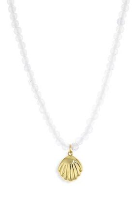 Argento Vivo Shell Necklace in Gold at Nordstrom Rack