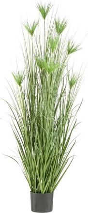 Gasper Kunstpflanzen Cyperus Gras im Kunsstofftopf H: 210 cm