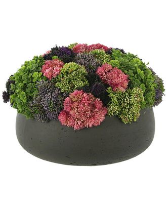 Creative Displays Inc. Sedum Arrangement In Round Planter