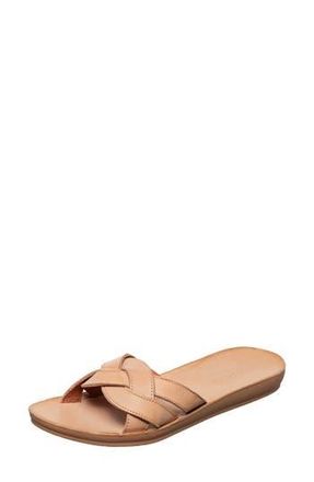 Antelope Alta Woven Leather Slide Sandal in Tan at Nordstrom Rack, Size 10Us / 41Eu