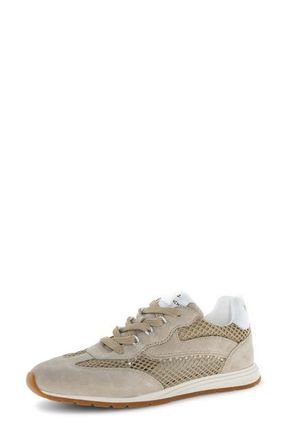 Voile Blanche Play Mesh Sneaker in Light Beige at Nordstrom, Size 12Us