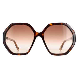 Chlo&eacute; Chloe Round Dames Dark Havana en Bruin Crystal Bruin Gradient Ch0008s Esther