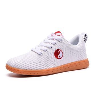 Generic Unisex Taekwondo Shoes, Sport Martial Arts Gym Boxing for Kong Fu Taichi Karate(White,9.5 UK)