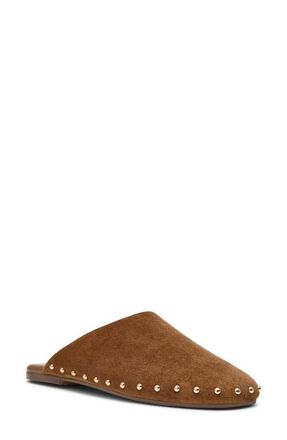 Steve Madden Pearson Mule in Chestnut Suede at Nordstrom, Size 9.5