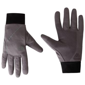 The North Face Flex Flashdry Glove Handschuhe f&uuml;r Herren | grau