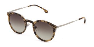 Lozza SL4286 07UX Mens Sunglasses Tortoiseshell Size 51