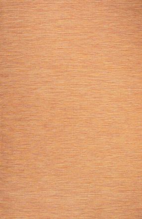 Jonathan Y Designs Ethan Modern Flatweave Solid Indoor/Outdoor Area Rug in Orange at Nordstrom, Size 3Ft 0In X 5Ft 0In