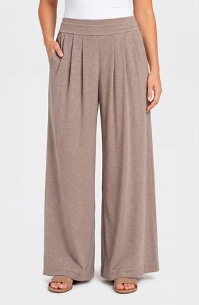 Liverpool L.A. Pleat Front Pull On Wide Leg Pants in Heathered Taupe at Nordstrom, Size X-Large