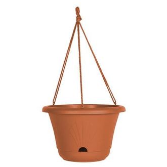 Bloem 13 Inch Lucca Self Watering Hanging Basket in Brown at Nordstrom