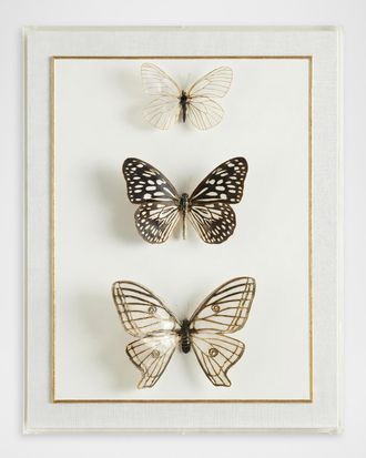 John-Richard Echoes of Change Framed Print