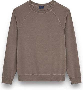 Paul & Shark X-Soft garment-dyed cotton sweatshirt, Man, Coffee Liqueur, Size: XXL