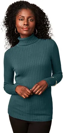 Jessica London Ribbed Cotton Turtleneck Sweater in Mystic Pine at Nordstrom, Size 24