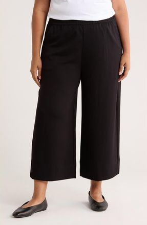 Caslon Scuba Wide Leg Pants in Black at Nordstrom Rack, Size 2X