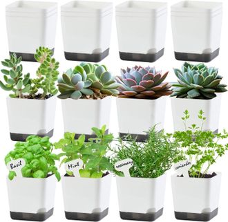 OEM Mini Macetas De 7,6 Cm Para Pl&aacute;ntulas, Bandejas Para Pl&aacute;ntulas, Juego De 20 Macetas De Pl&aacute;stico, Aptas Para Plantas De Interior Y Exterior, Macetas De