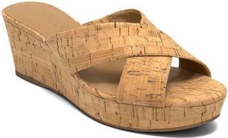 Aerosoles Cruis Platform Wedge Sandal in Natural at Nordstrom, Size 9.5