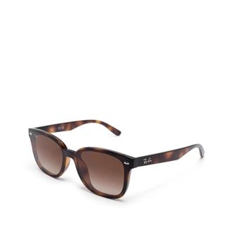 Ray-Ban Rb 4461D 71013 Zonnebrillen - unisex - Zonnebrillen - Bruin - 64 MM - Accessoires