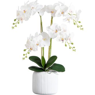 Nearly Natural 26-in Artificial Phalaenopsis Orchid Arrangement in Decorative Ceramic Vase in White at Nordstrom
