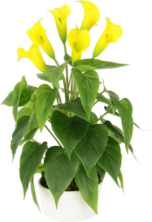 I.GE.A. Kunstblume »Calla« Im Topf aus Keramik Kunstpflanze Künstliche Blumen Seidenblumen