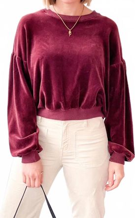 Bloomingdale's Jewel Velour Sweatshirt In Burgundy