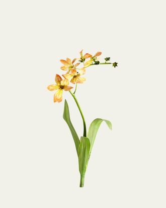 Tommy Mitchell Original Painted Freesia Study