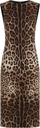 Dolce & Gabbana Dames, Jurken, Bruin, Maat: XL