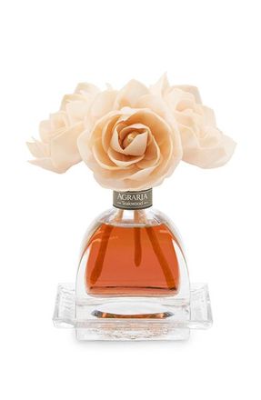 Agraria San Francisco AirEssence Diffuser in Teakwood at Nordstrom