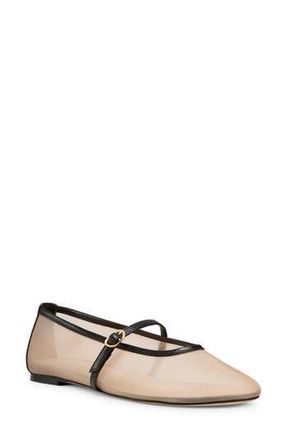 Stuart Weitzman Bareitall Mary Jane Flat in Beige/Black at Nordstrom Rack, Size 9.5