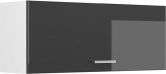 Vicco Armario Colgante R-line, Antracita Alto Brillo/blanco, 100 Cm Plano, Vicco