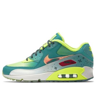 Nike (WMNS) Nike Air Max 90 DB 838767-374