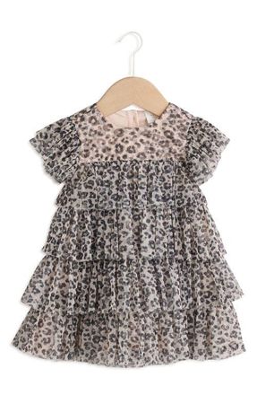 Next Leopard Print Ruffle Mesh Dress in Beige Multi at Nordstrom, Size 12-18M