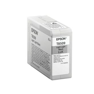 Epson Cartucho Impresora Epson C13t850900