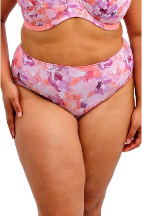 Goddess Kayla Briefs in Coral Petal at Nordstrom, Size 3X-Large