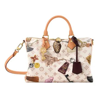 Louis Vuitton Speedy 30 Soft Multi-Color M29377