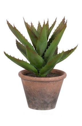 A & B Home Artificial Agave Cactus Plant in Green at Nordstrom Rack