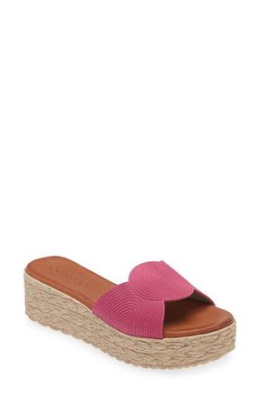 Cordani Britta Espadrille Platform Wedge Slide Sandal in Fuschia Suede at Nordstrom, Size 4.5Us