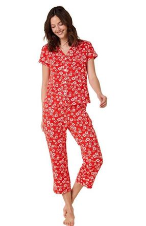 The Cats Pajamas Pima Knit Holiday Capri Set in Cece at Nordstrom, Size Xx-Large