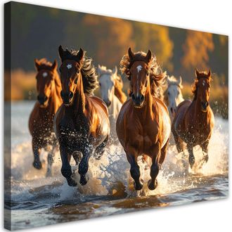 Feeby Cuadro En Lienzo, Manada De Caballos Corriendo Por El Agua, 100x70