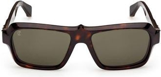 Christian Louboutin 56mm Rectangular Sunglasses in Havana Gold /Zeiss Brown Red at Nordstrom