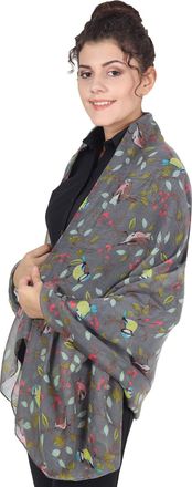 World of Shawls Winter Christmas Robin Bird Print Girls Lady Women Colorful Long Cute Scarf Wraps Shawl Soft Scarves Maxi (160 Dark Silver)
