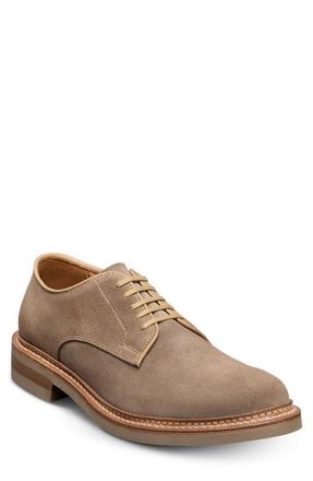 Allen Edmonds Amesbury Derby in Tobacco at Nordstrom, Size 14