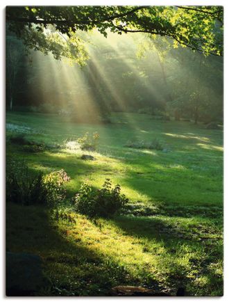 Artland Wandbild »Lichtkegel« Wald 1 Stk. tlg. als Alubild, Outdoorbild, Leinwandbild, Poster, Wandaufkleber